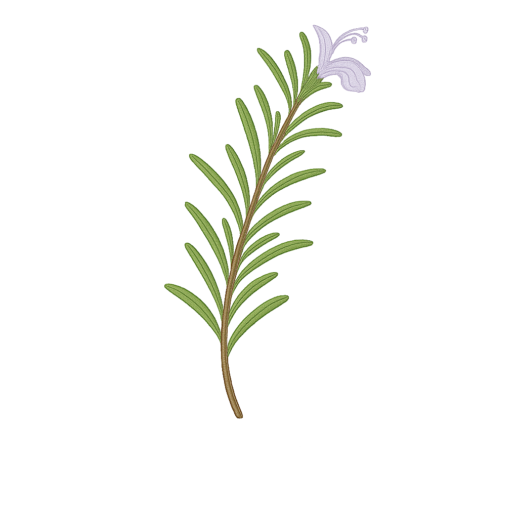 ROSEMARY CAMPHOR ESSENTIAL OIL