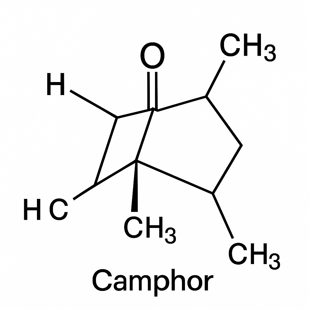 CAMPHOR