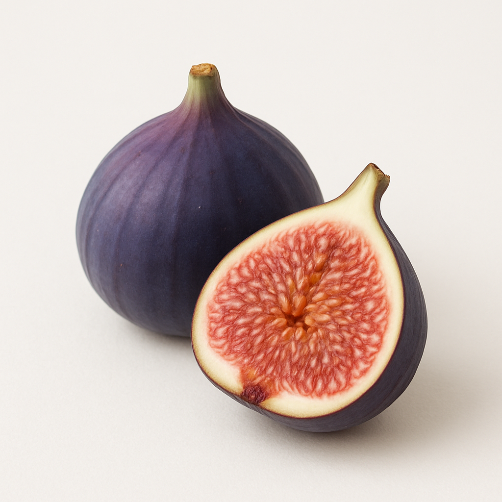 FIG