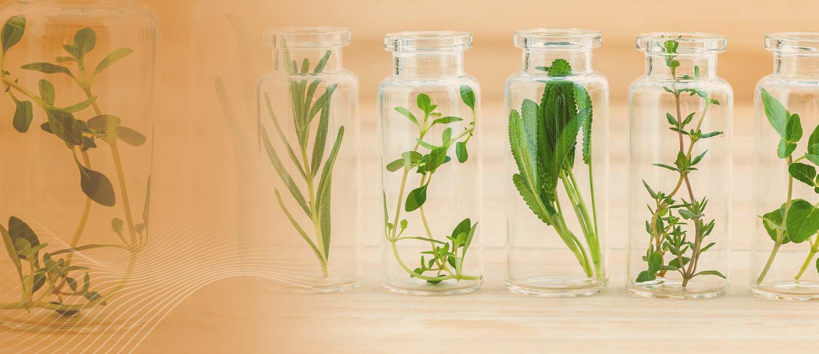 Welcome to Pharmac, Your Partner for Cosmetic and Chemical Raw Materials in Morocco